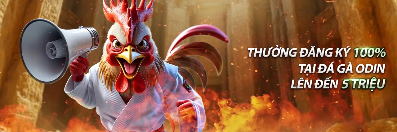 Giao diện ứng dụng 88 trang trên điện thoại